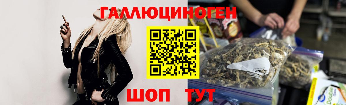 Чусовой  Псилоцибиновые грибы GOLDEN TEACHER  Вход с VPN 