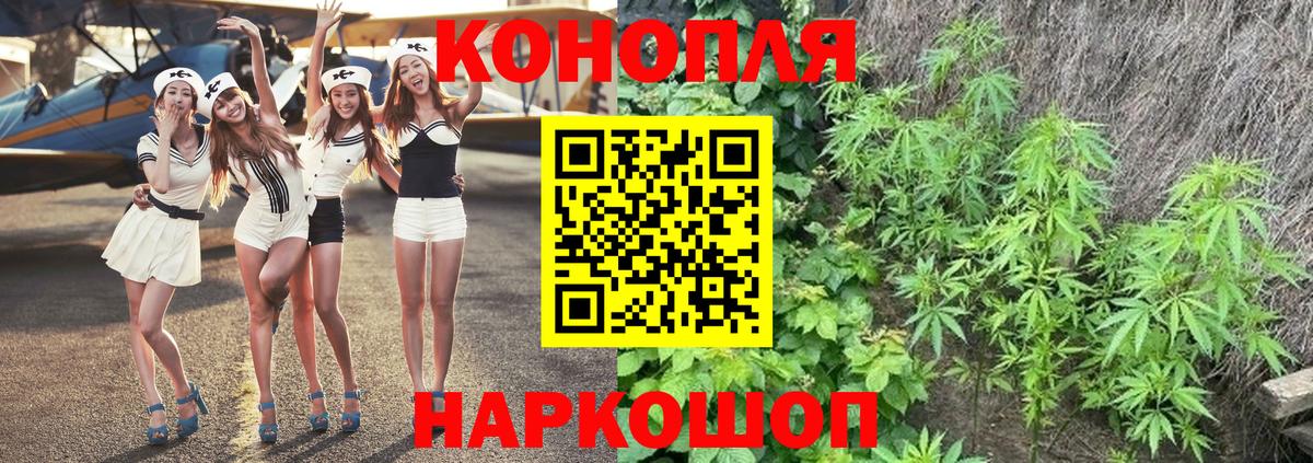 Канабис сатива  Конопля Amnesia  Конопля ГИДРОПОН  Вход с VPN  Чусовой 